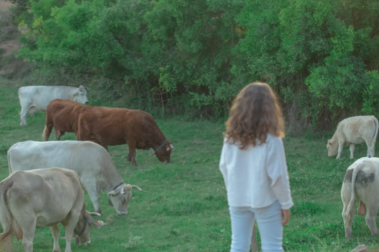 Horaris de visita Per visitar la granja és imprescindible tenir cita prèvia . Les visites