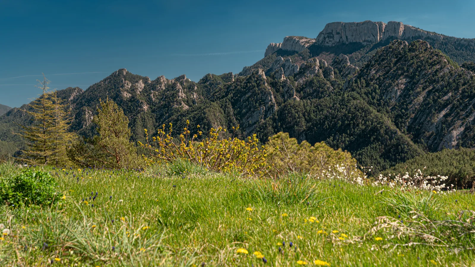 Vall de Lord i Sant Llorenç de Morunys